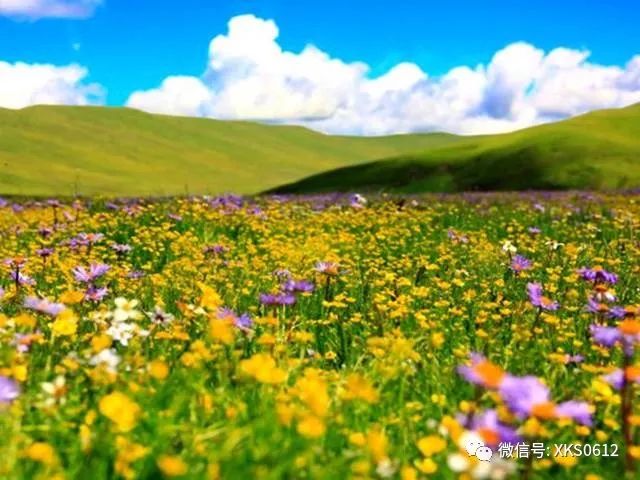 芜湖就近旅游景点_离景点芜湖旅游近点还是远点_离芜湖近点的旅游景点