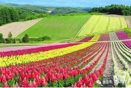 离景点芜湖旅游近点还是远点_离芜湖近点的旅游景点_芜湖就近旅游景点