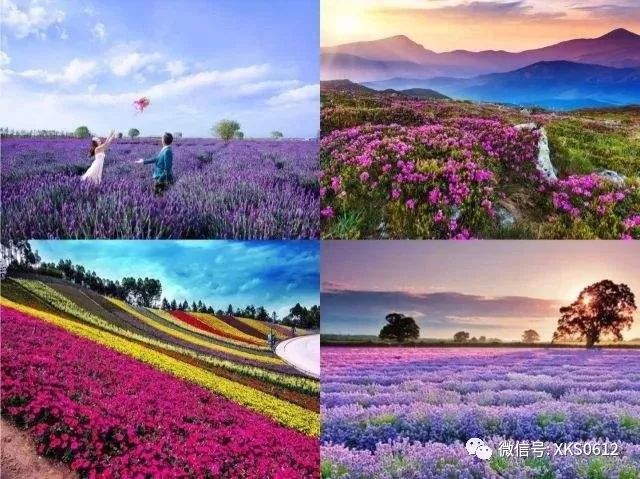 芜湖就近旅游景点_离芜湖近点的旅游景点_离景点芜湖旅游近点还是远点