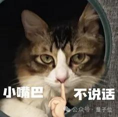 奥特曼从断_winr奥特曼_