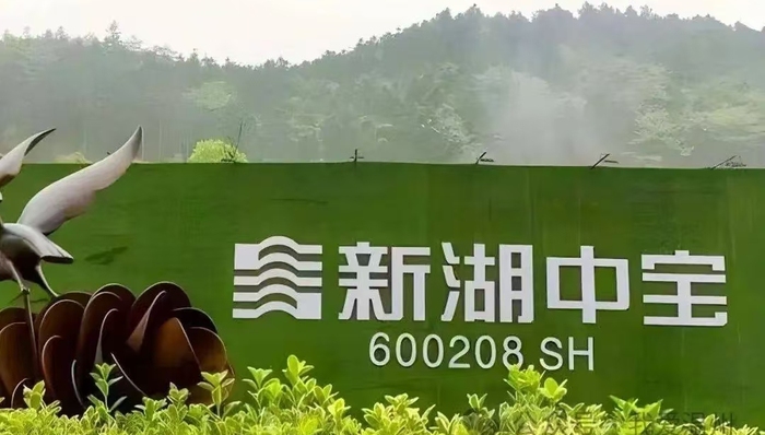 头顶近200亿短期债务，浙江神秘地产商新湖中宝迎国资入股遗留问题待解