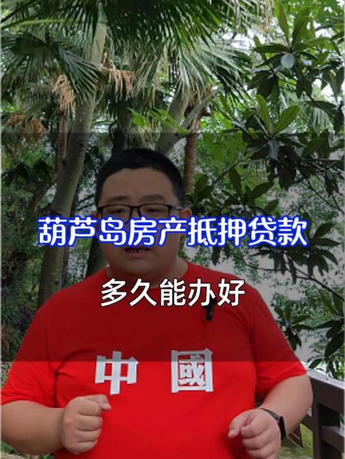 葫芦岛一居民小区房照办理波折：开发商抵押引难题终解决