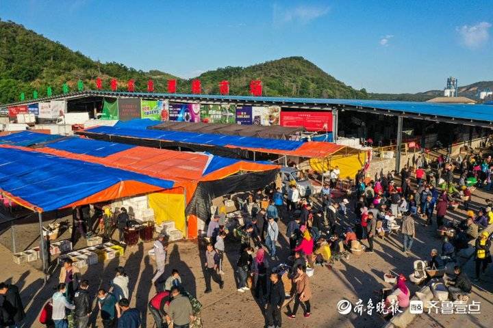 樱桃烟台产地_山东烟台樱桃的产地主要在哪里_烟台产地樱桃是哪里