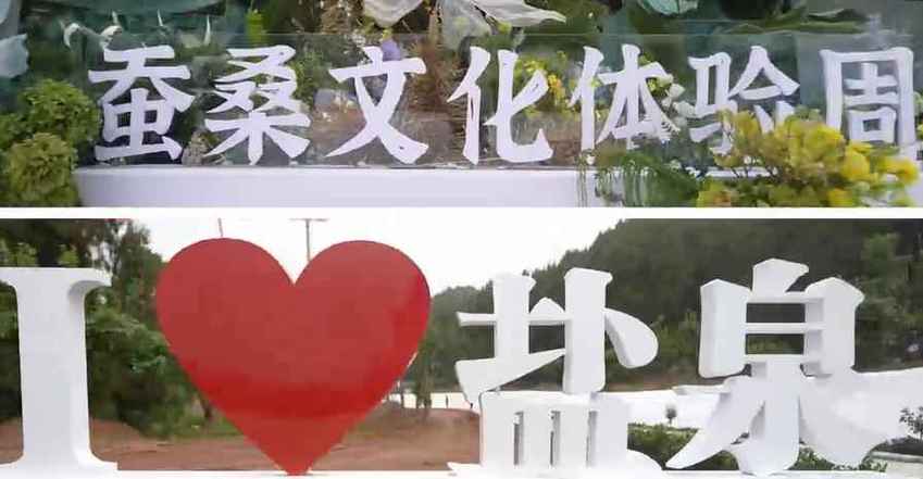 绵阳市蚕业管理站__绵阳蚕桑基地