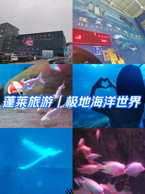 威海赤山风景名胜区怎么样_烟台威海赤山多高_威海赤山多高
