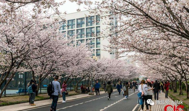 同济大学软件工程硕士_同济大学软件工程学硕_同济大学研究生软件工程