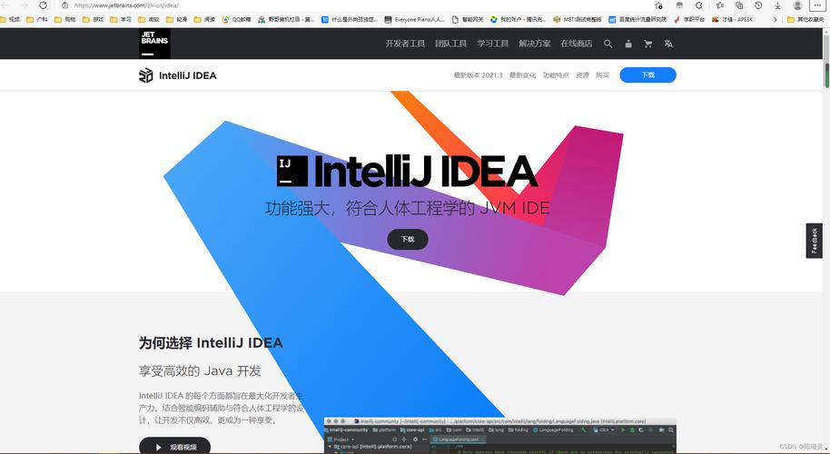 IntelliJ IDEA 历史版本_IntelliJ IDEA 开发者使用率_intellij idea 下载