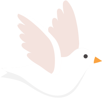 芜湖一中图片_芜湖市一中安师大附中联合招生电脑派位_2022年中招录取流程