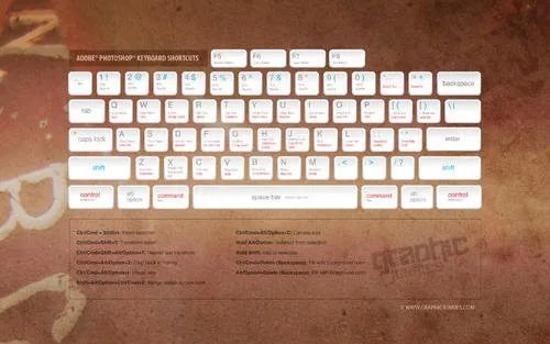 代码标签快捷输入_intellij idea替换所有文本_Windows代码自动生成