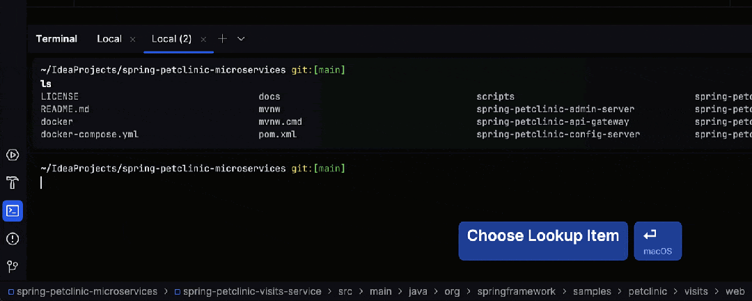 IDEA 2024.1 粘性行编辑器_IntelliJ IDEA 2024.1 新终端功能_intellij idea