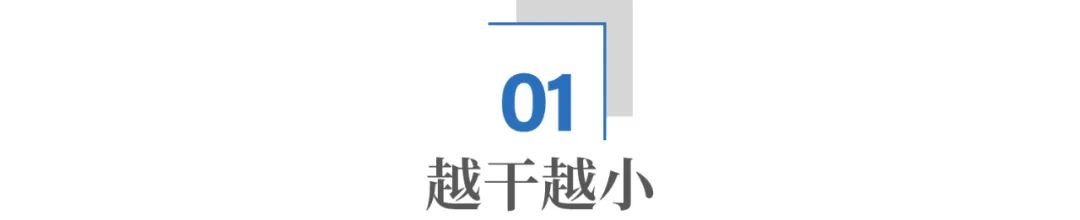 _飞利浦贴牌之王_飞利浦品牌卖给谁了