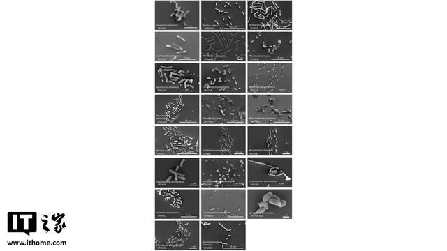 NASA发现26种新细菌：极端微生物在无尘室中顽强存活_NASA发现26种新细菌：极端微生物在无尘室中顽强存活_