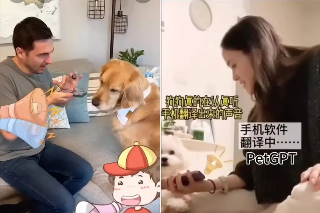 _翻译器宠物翻译器_最火宠物翻译器