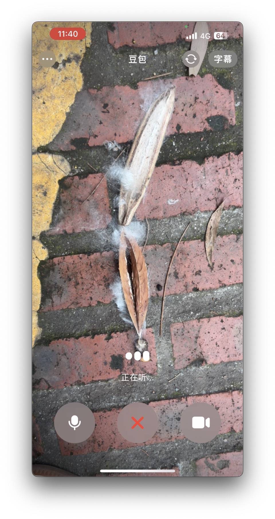_一对一视频聊天每分钟_视频聊天一小时要多少钱