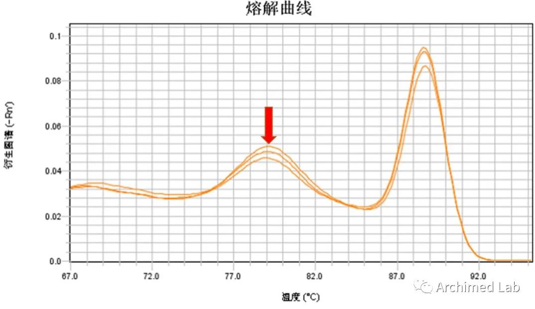 qPCR引物设计避坑技巧_熔解曲线异常分析_dnastar引物设计