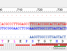基因编辑过表达应用_基因过表达技术_dnastar lasergene