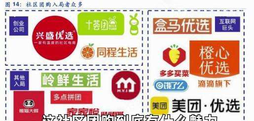 互联网巨头科技创新批评_芜湖美团团购网_社区团购争议