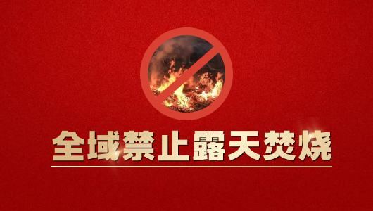 松阳招聘_松阳县教育局教师招聘钉钉报名流程_2025年松阳县教师招聘报名时间