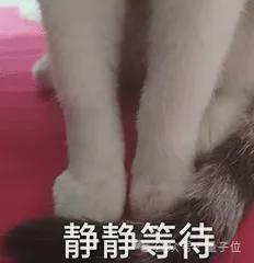 _德国政治僵局打破_德国政治僵局打破新闻