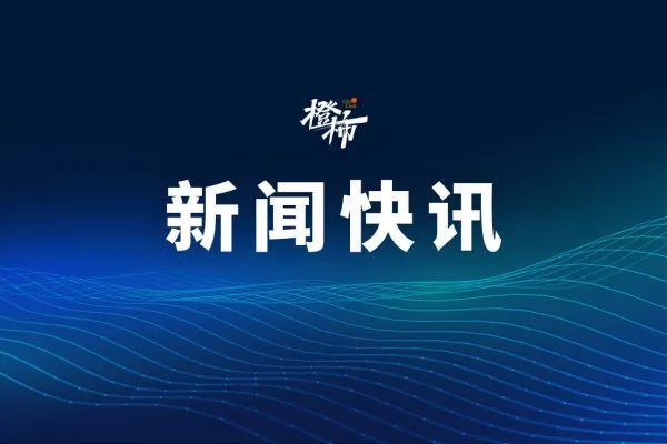 _机器人打架的故事_机器人打架的节目叫啥