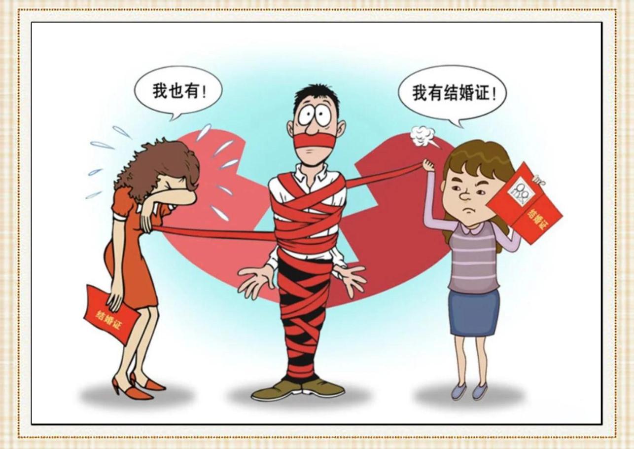 一夫多妻制 浙江松阳小伙 重婚罪案例_松阳工作