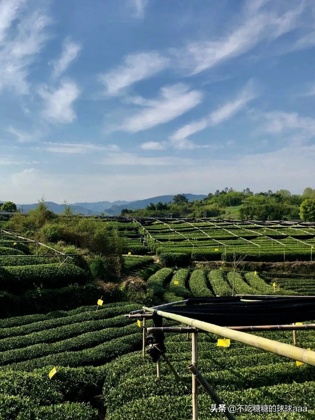 松阳旅游攻略_松阳古村落旅游_松阳求职