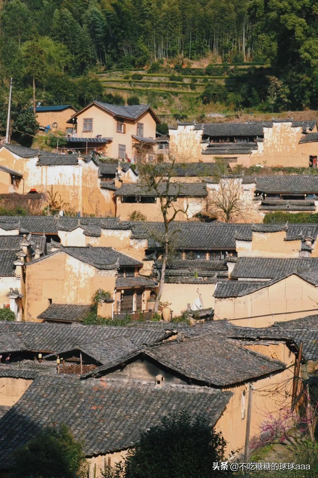 松阳求职_松阳古村落旅游_松阳旅游攻略