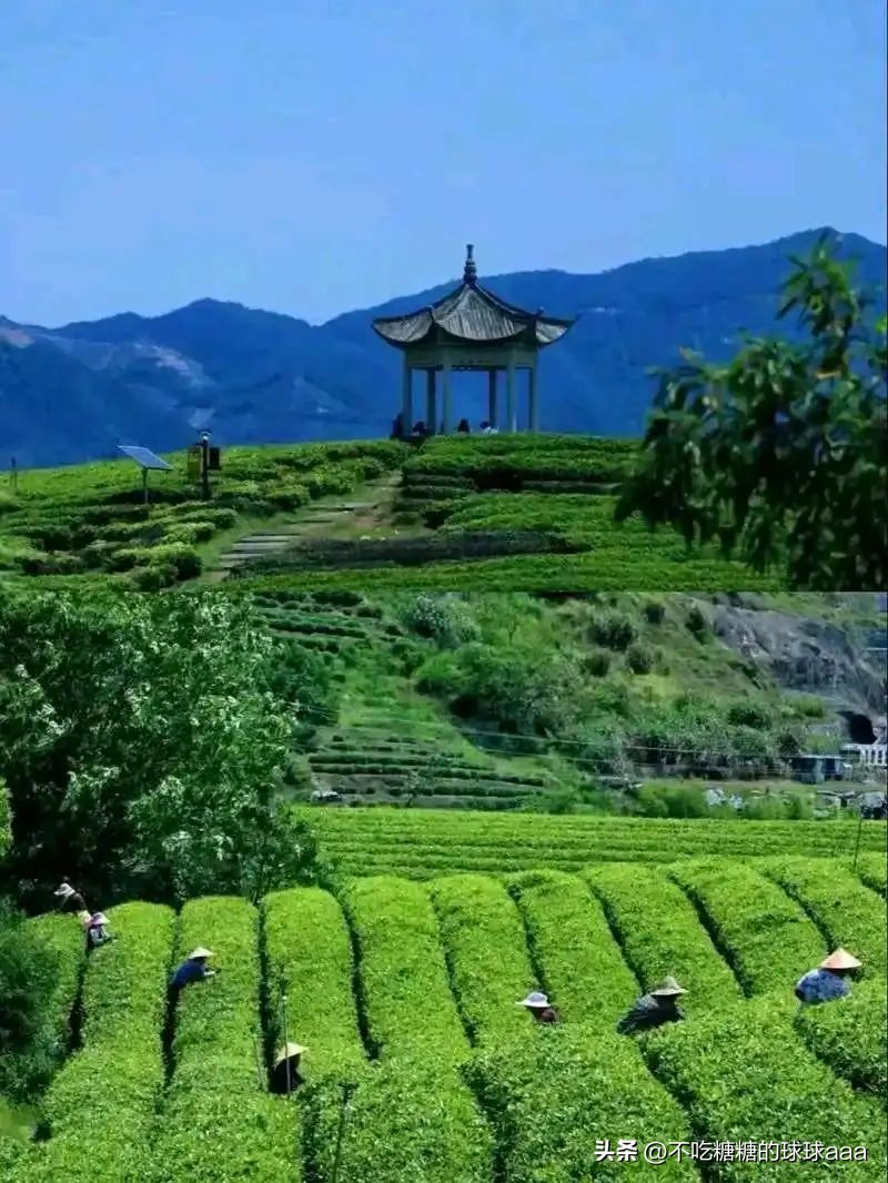 松阳古村落旅游_松阳旅游攻略_松阳求职
