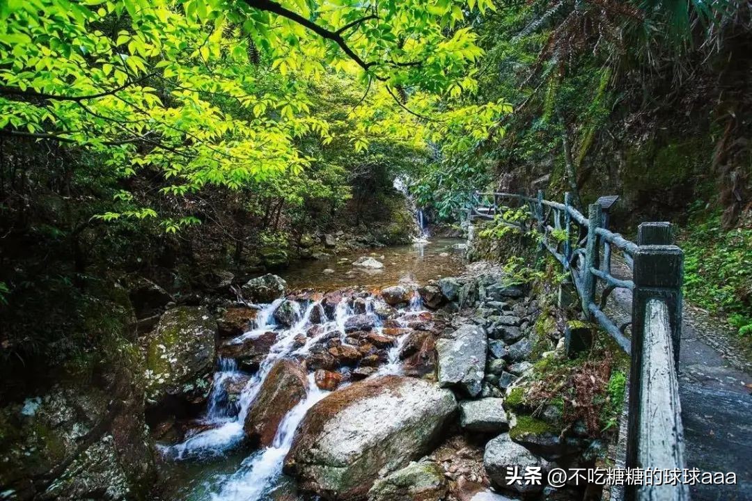 松阳求职_松阳旅游攻略_松阳古村落旅游
