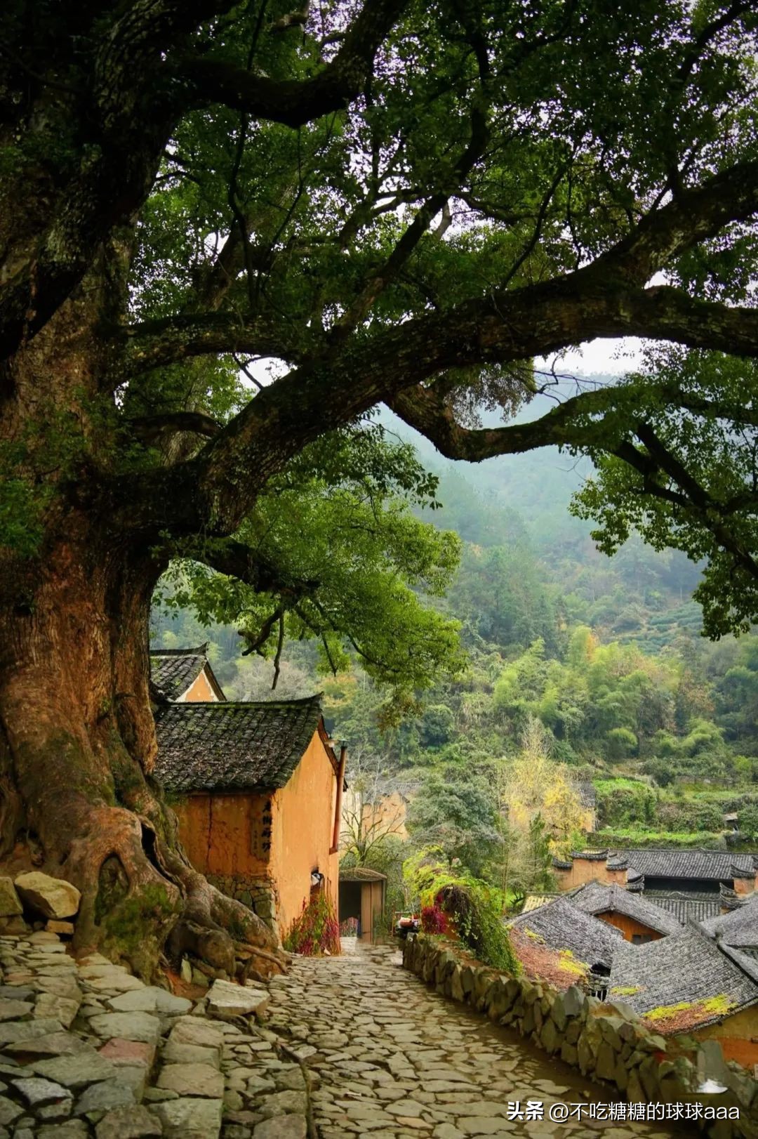 松阳古村落旅游_松阳旅游攻略_松阳求职