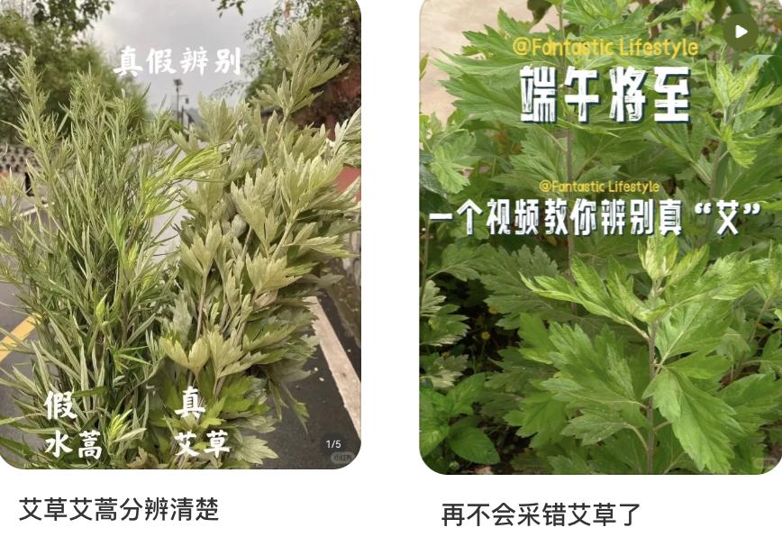 端午用品标配情绪成语有哪些__端午用品大全