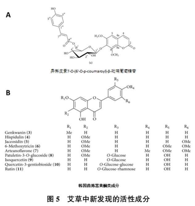 端午用品标配情绪成语有哪些_端午用品大全_
