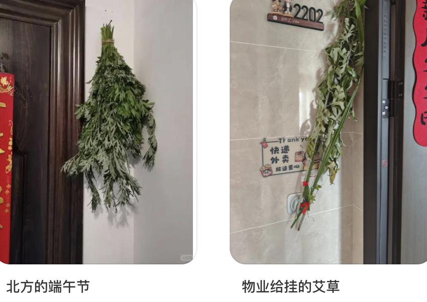 端午用品标配情绪成语有哪些__端午用品大全