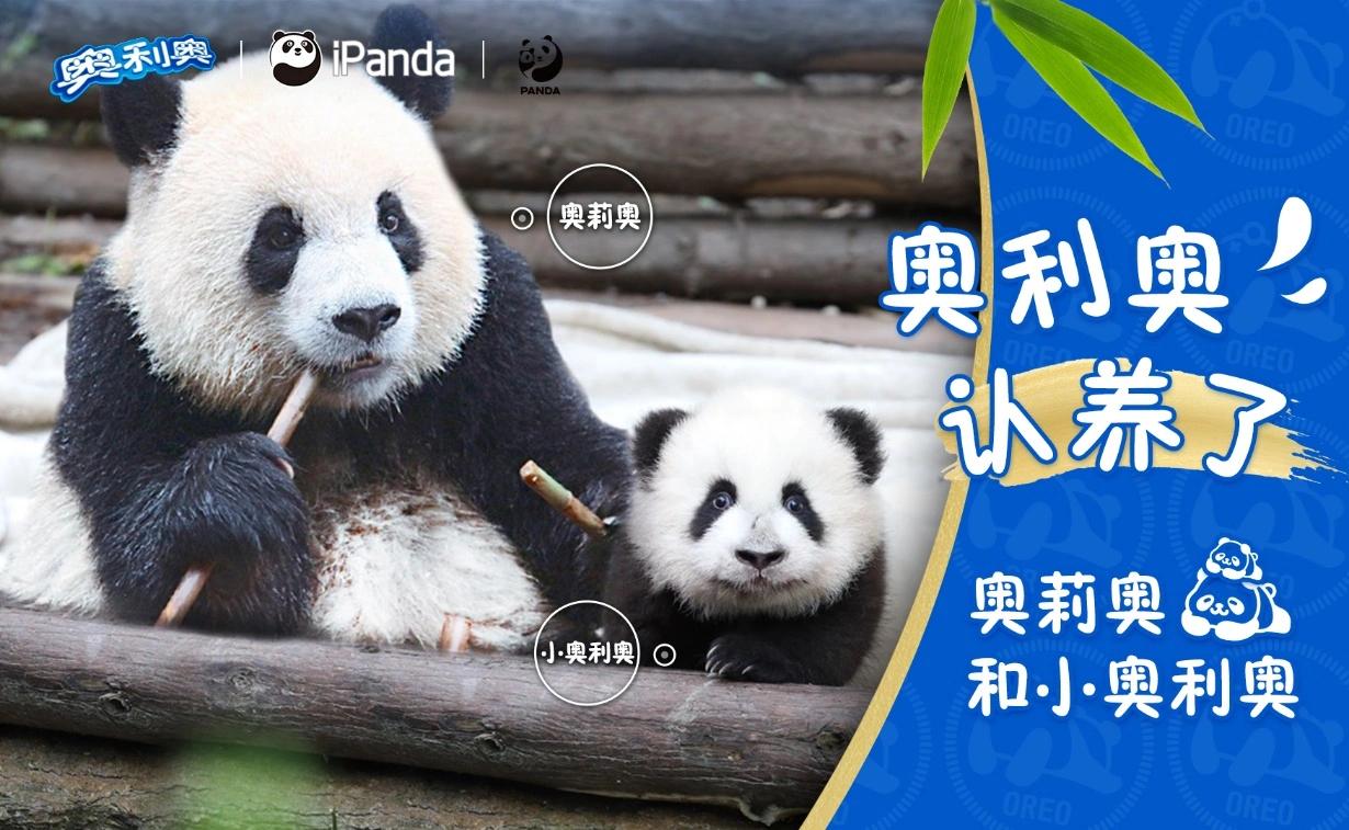 雪王都去港交所敲钟了，品牌增长只看流量明星能成吗？__雪王都去港交所敲钟了，品牌增长只看流量明星能成吗？