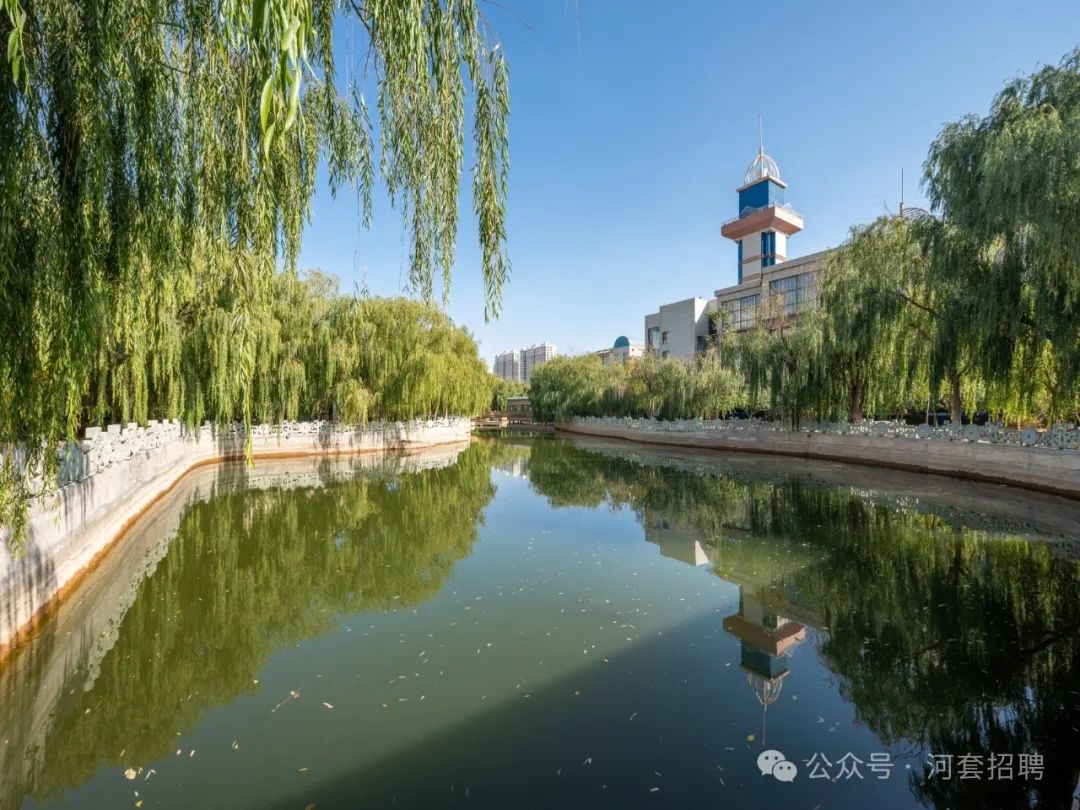 巴彦淖尔饭店国企招聘_巴彦淖尔饭店餐饮服务员招聘_招聘信息