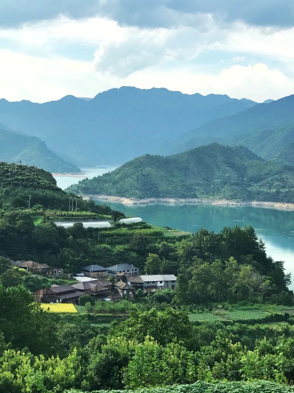 青田石雕历史文化_青田华侨超市经济_青田兼职
