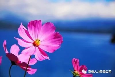  永利汽车招聘机器人焊接工 _招工_免费工作介绍求职信息 