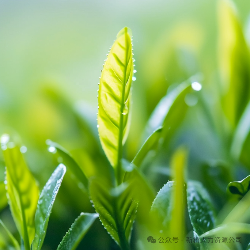 招工_ 永利汽车招聘机器人焊接工 _免费工作介绍求职信息 