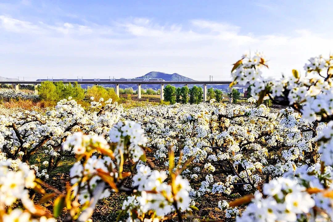 动车组列车折扣_怎么填芜湖到沈阳的优惠区间_高铁票价优惠