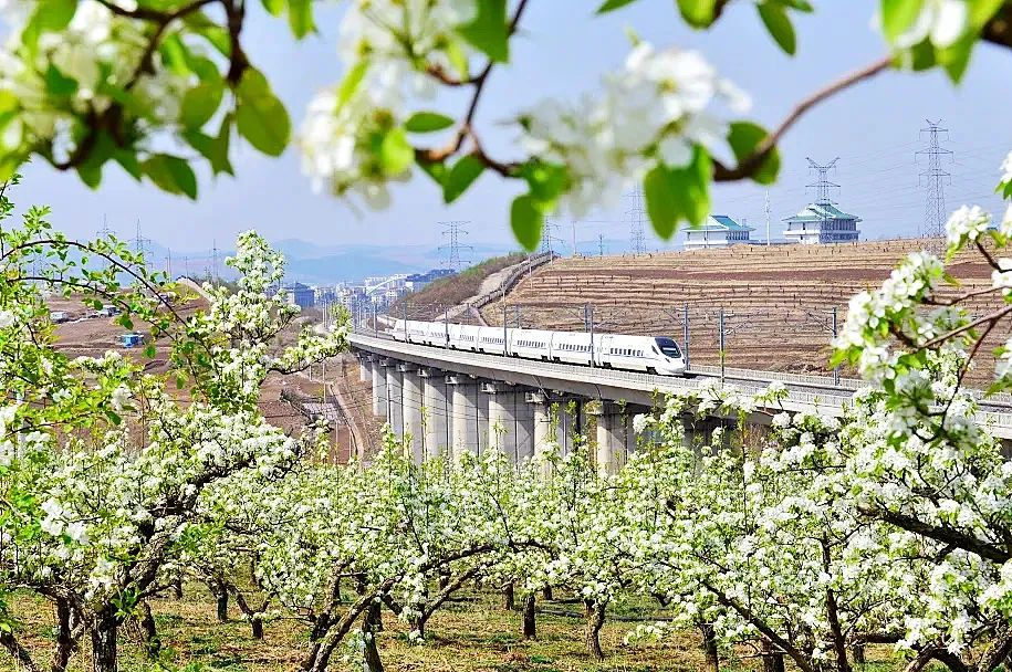 高铁票价优惠_怎么填芜湖到沈阳的优惠区间_动车组列车折扣