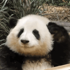 芜湖长江大桥限速_芜湖长江大桥五一通车_芜湖长江大桥升级改造