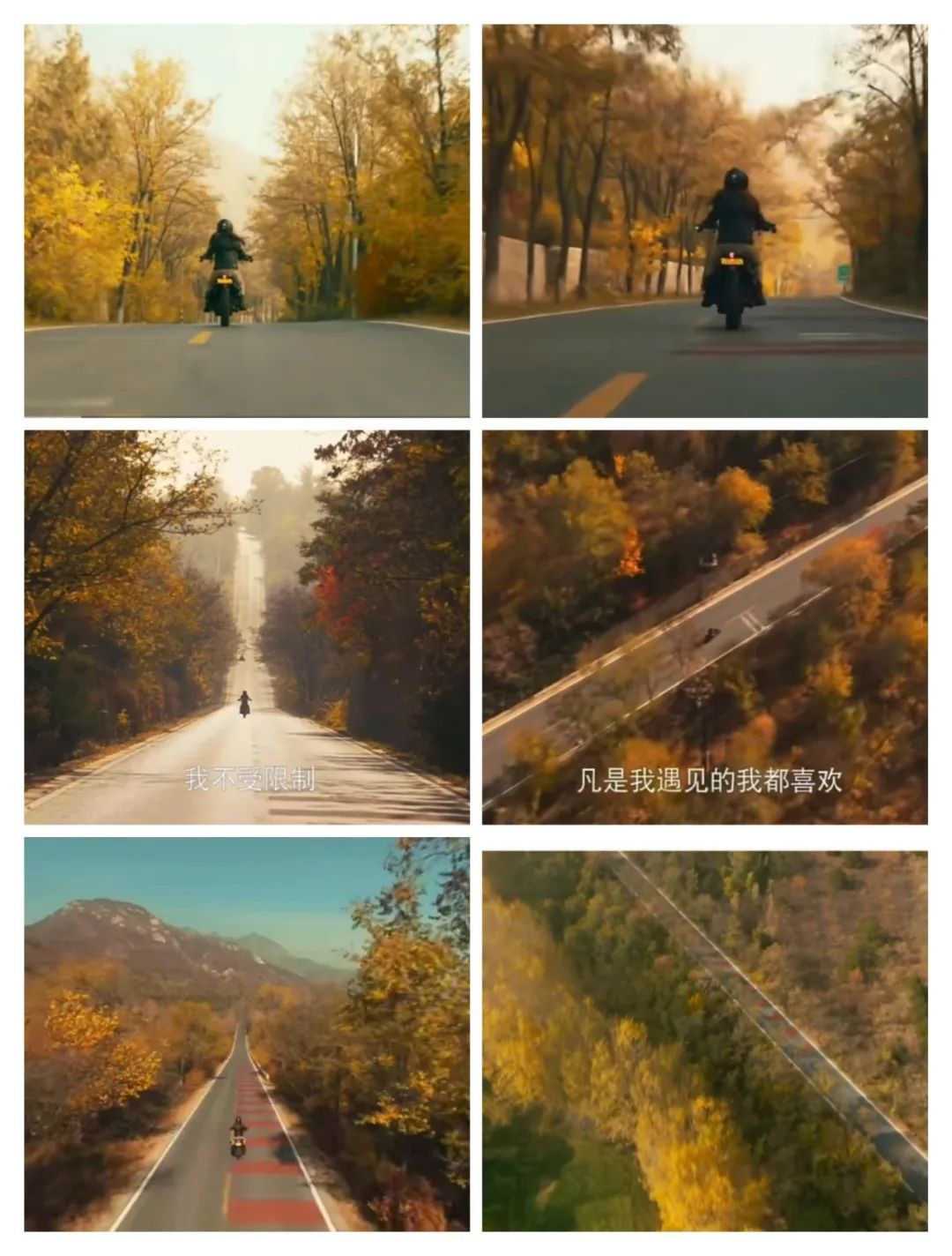 sketch afternoon tea_自然采集活动指南_漫步小书阅读体验
