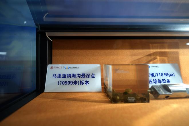 深海展览馆_深海探索成就_