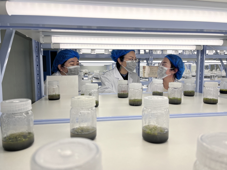 松阳求职_丽水农林技师学院 茶叶专业就业前景 _ 松阳县技能人才培育 