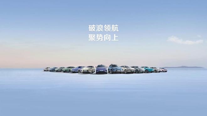 比亚迪销服系统入口_比亚迪跑车汉_