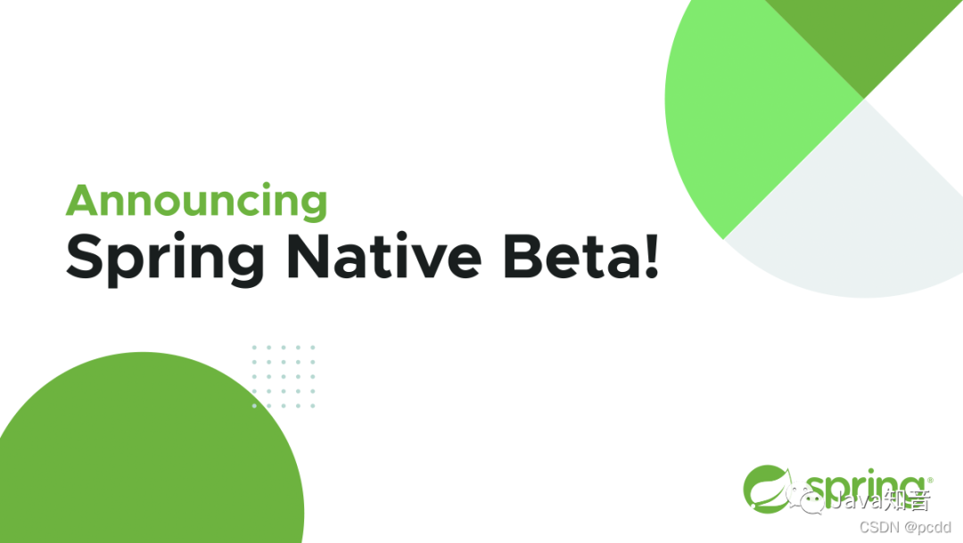 intellij idea golang plugin_ Spring Boot 构建原生应用程序 _Spring Native 内存优化 
